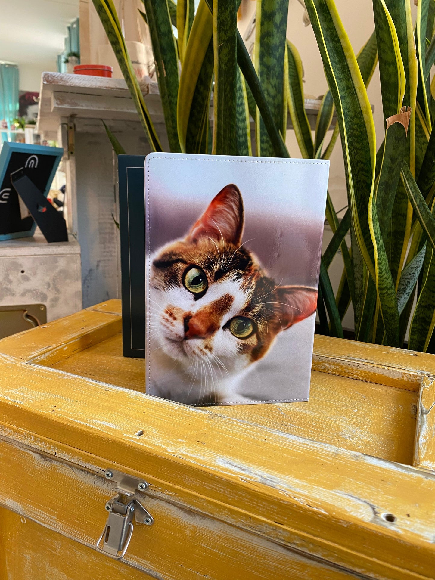 Agenda 2026 settimanale