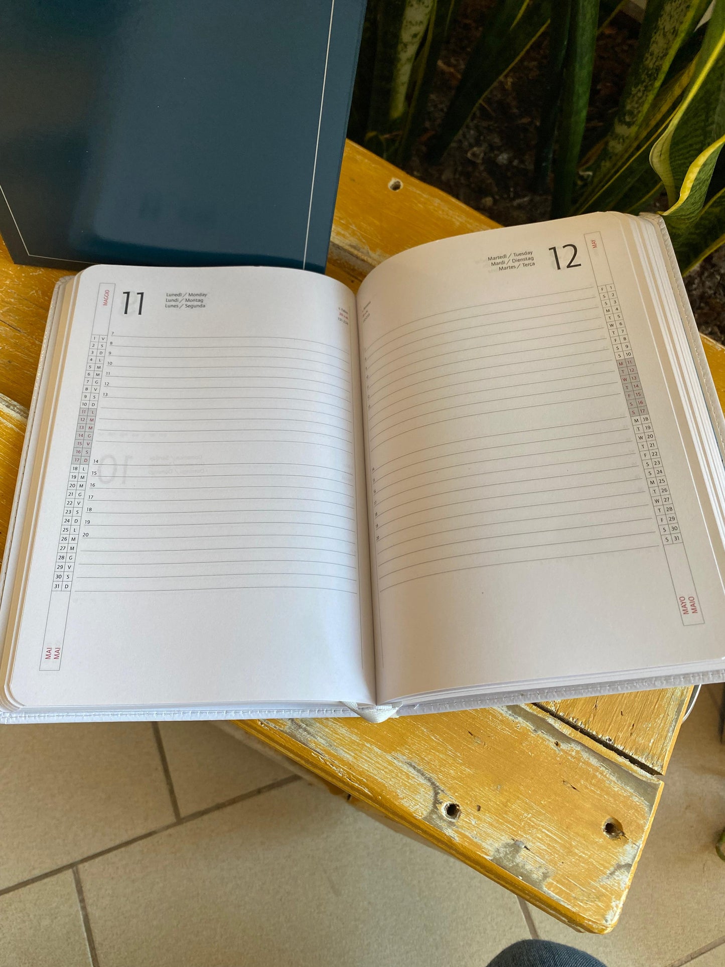 Agenda 2026 settimanale