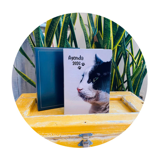 Agenda 2026 settimanale